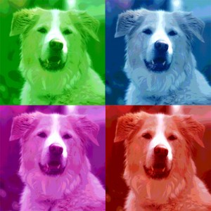 AureoWarhol copy